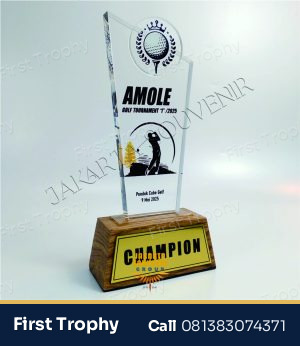 Plakat Golf Champion