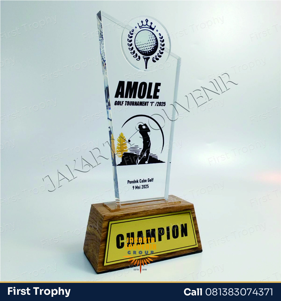 Plakat Golf Champion