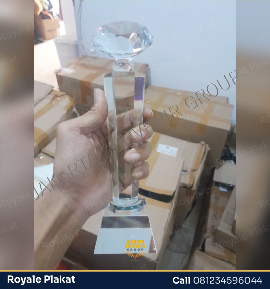 Plakat Kristal Excellence - First Trophy