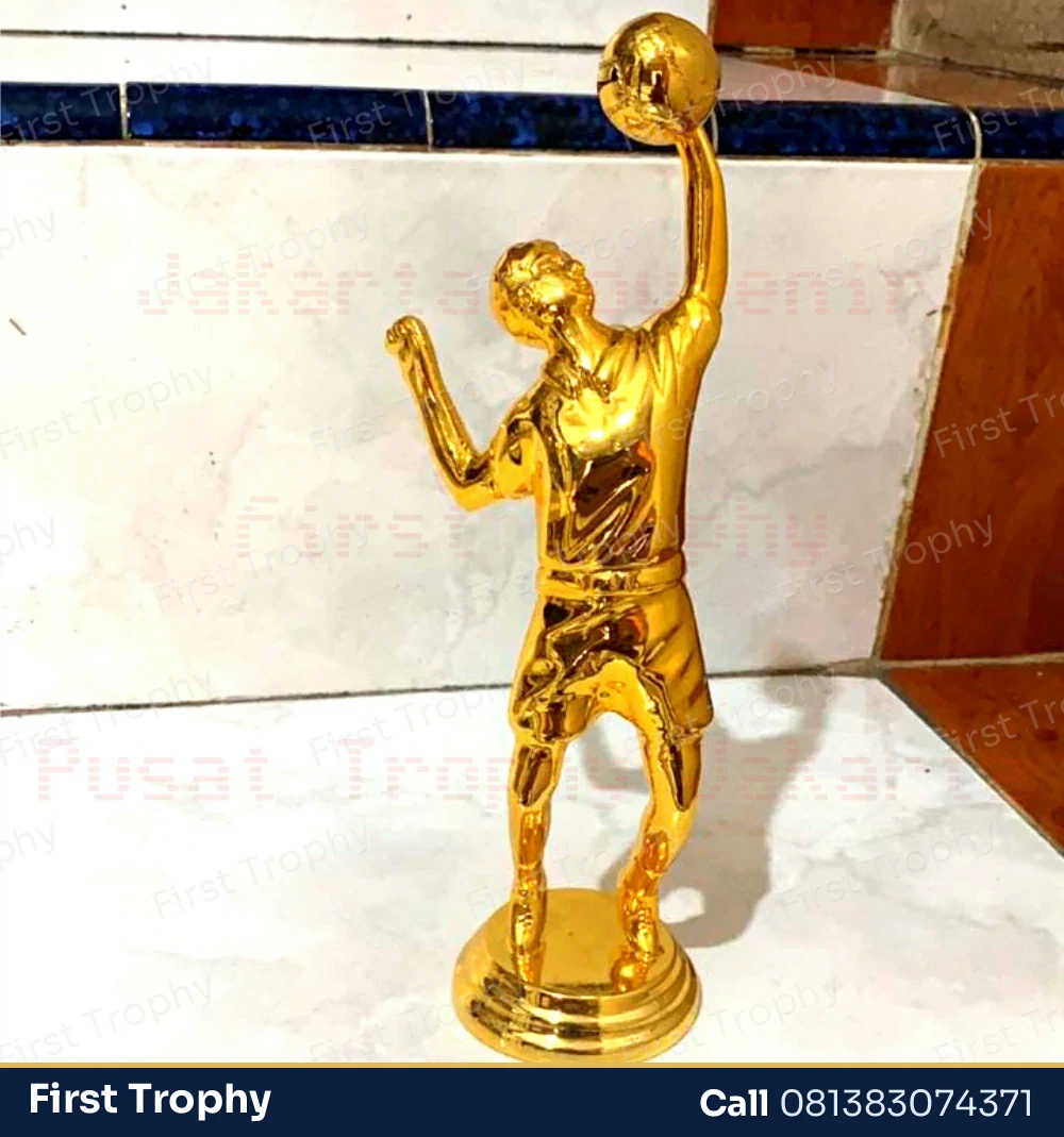 Trophy Voli Custom