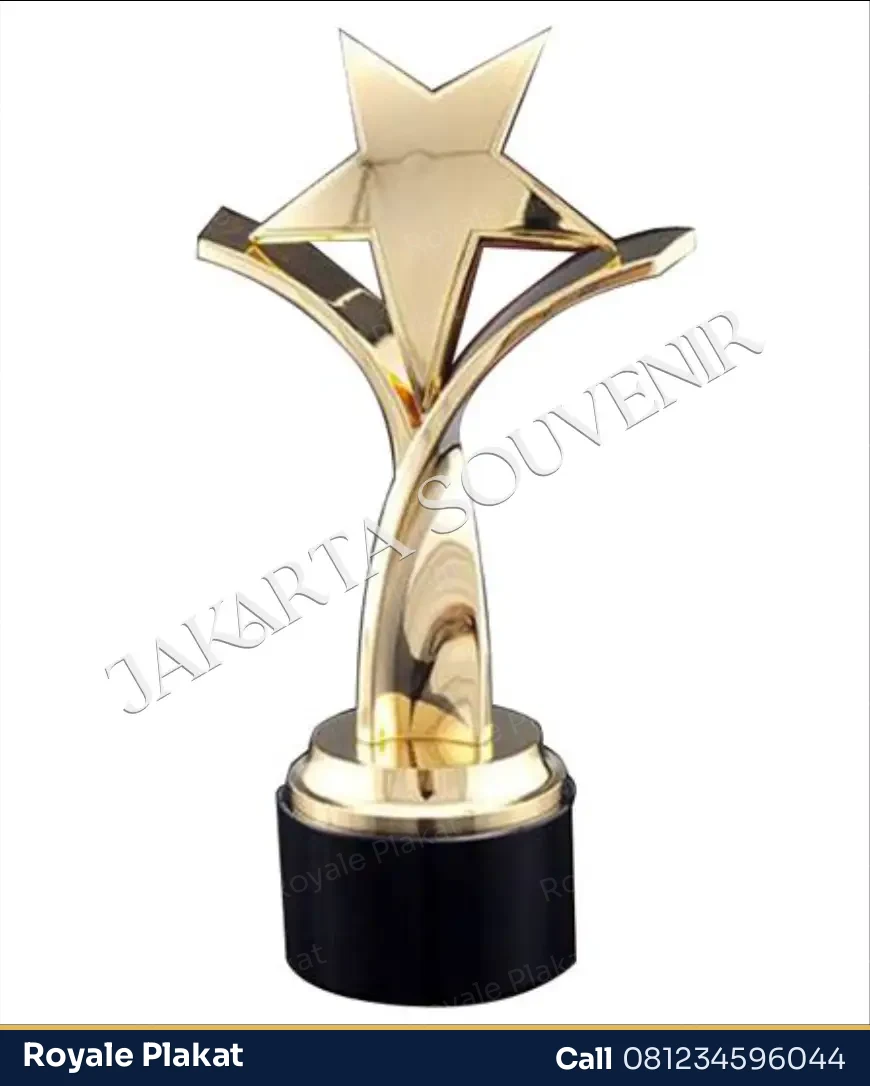 Trophy Bintang Standard - First Trophy
