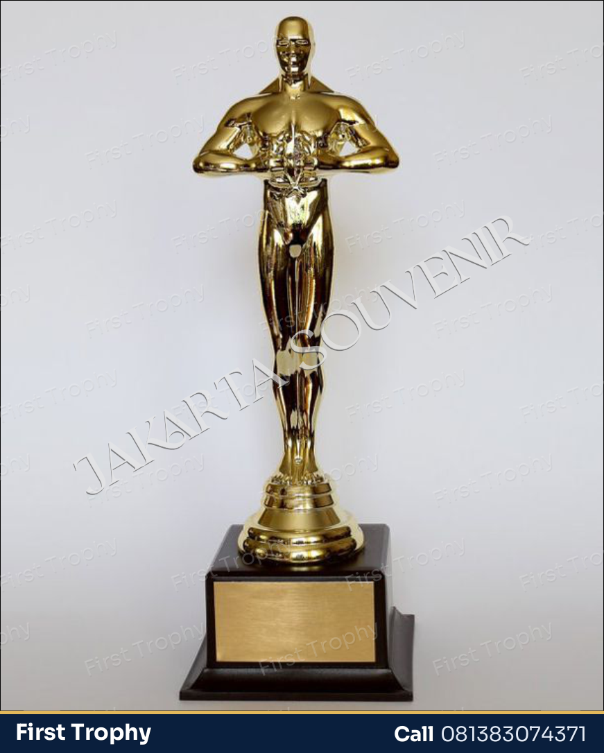 Trophy Award Panasonic Style