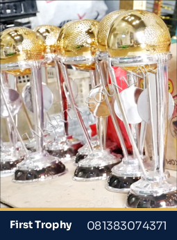 Piala Plastik Bola Dunia