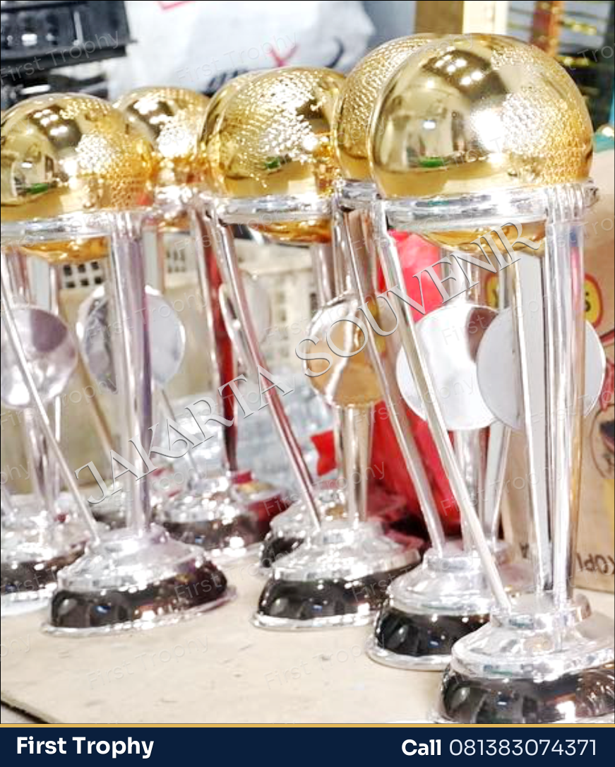 Piala Plastik Bola Dunia